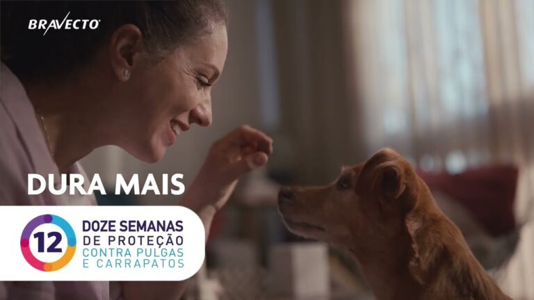 Campanha de Bravecto LATAM é premiada pelo London International Awards